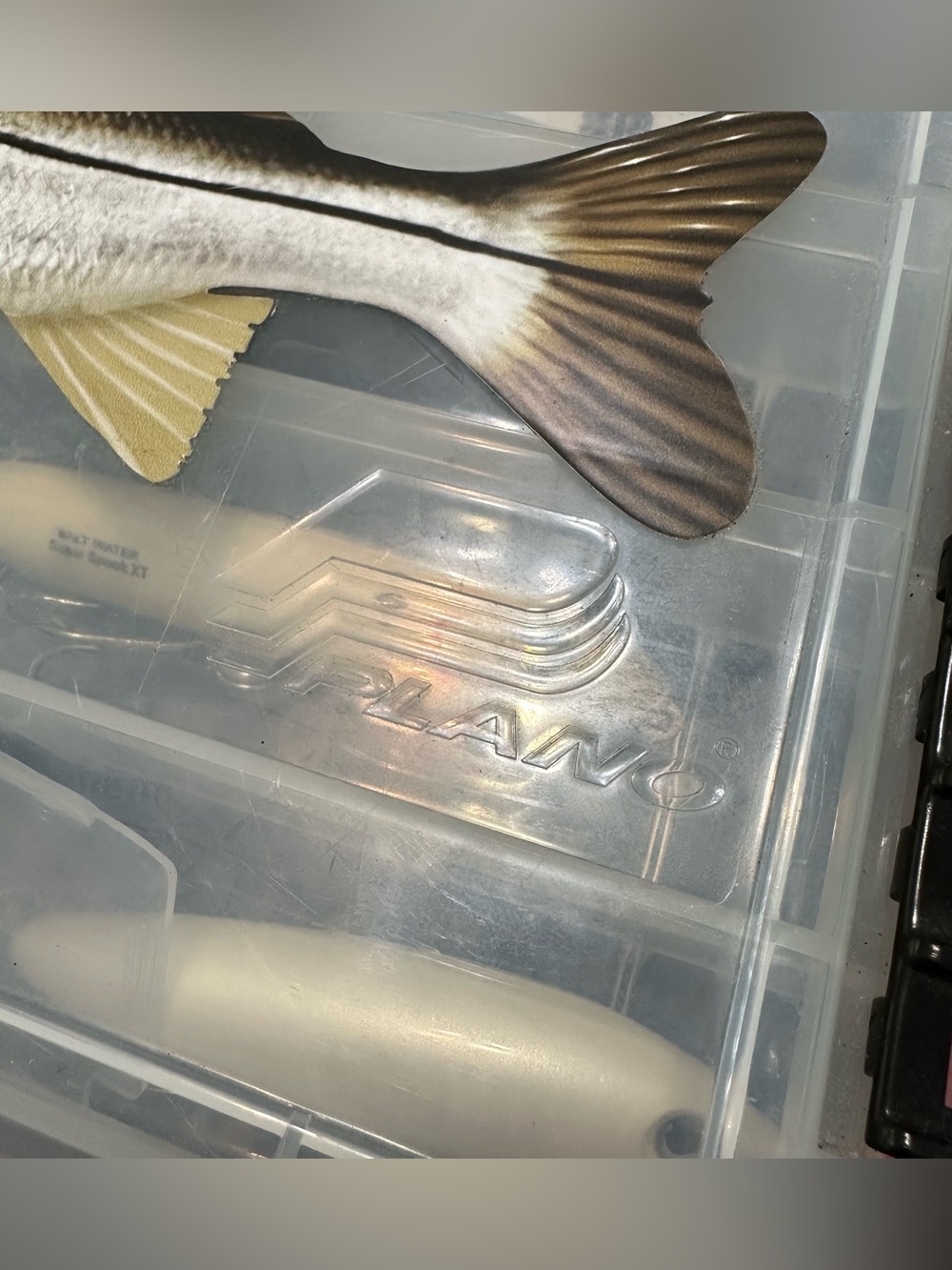 Professional Topwater Fishing Lure Starter Bundle with Plano Box - Picture 3 of 8